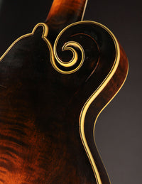Gibson F5 Lloyd Loar signed (Feb 18, 1924)