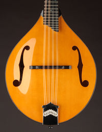 Collings MT2 Honey Amber (USED, 2013)