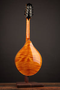 Collings MT2 Honey Amber (USED, 2013)