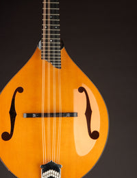Collings MT2 Honey Amber (USED, 2013)