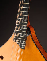 Collings MT2 Honey Amber (USED, 2013)