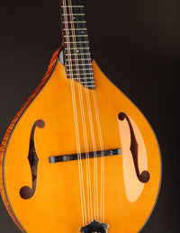 Collings MT2 Honey Amber (USED, 2013)