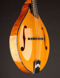 Collings MT2 Honey Amber (USED, 2013)