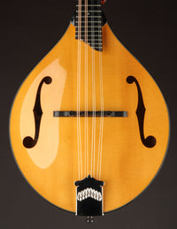 Collings MT2 Birdseye Maple / Italian Spruce Honey Amber w/ Calton (USED, 2019)
