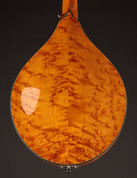 Collings MT2 Birdseye Maple / Italian Spruce Honey Amber w/ Calton (USED, 2019)