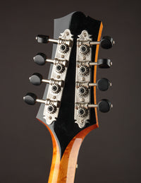 Collings MT2 Birdseye Maple / Italian Spruce Honey Amber w/ Calton (USED, 2019)