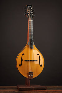 Collings MT2 Birdseye Maple / Italian Spruce Honey Amber w/ Calton (USED, 2019)