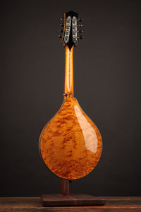 Collings MT2 Birdseye Maple / Italian Spruce Honey Amber w/ Calton (USED, 2019)