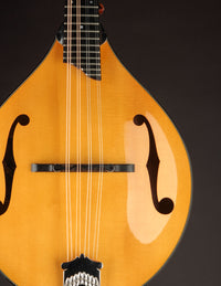 Collings MT2 Birdseye Maple / Italian Spruce Honey Amber w/ Calton (USED, 2019)