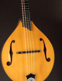 Collings MT2 Birdseye Maple / Italian Spruce Honey Amber w/ Calton (USED, 2019)