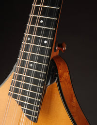 Collings MT2 Birdseye Maple / Italian Spruce Honey Amber w/ Calton (USED, 2019)