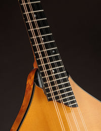 Collings MT2 Birdseye Maple / Italian Spruce Honey Amber w/ Calton (USED, 2019)