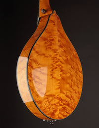 Collings MT2 Birdseye Maple / Italian Spruce Honey Amber w/ Calton (USED, 2019)