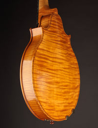 Campanella Due Oval (USED, 2013)