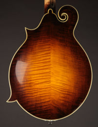 Nugget F5 Deluxe (2019)