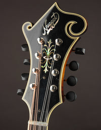 Nugget F5 Deluxe (2019)