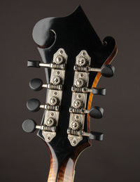Nugget F5 Deluxe (2019)