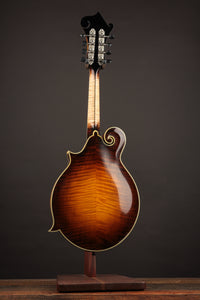 Nugget F5 Deluxe (2019)
