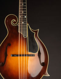 Nugget F5 Deluxe (2019)