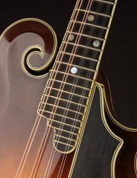 Nugget F5 Deluxe (2019)