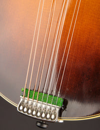 Nugget F5 Deluxe (2019)