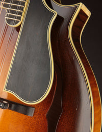 Nugget F5 Deluxe (2019)