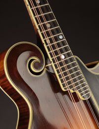 Nugget F5 Deluxe (2019)