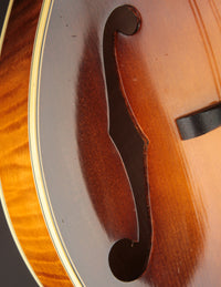 Nugget F5 Deluxe (2019)