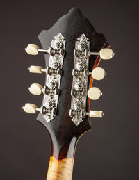 Kimble F5 Fern #277 (2020)