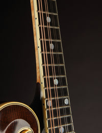 Kimble F5 Fern #277 (2020)