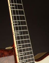 Yanuziello Continental Electric Mandolin - Five String (2021)