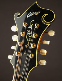 Collings MF5 Sunburst Wide (2008)