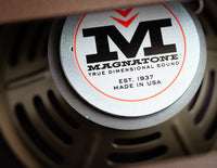 Guitar speaker close up