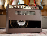 Back view of Magnatone amp
