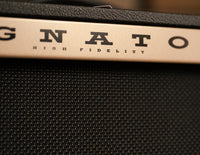 Magnatone Starlite Black w/Reverb