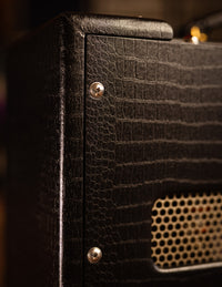 Magnatone Varsity Reverb, Point to Point