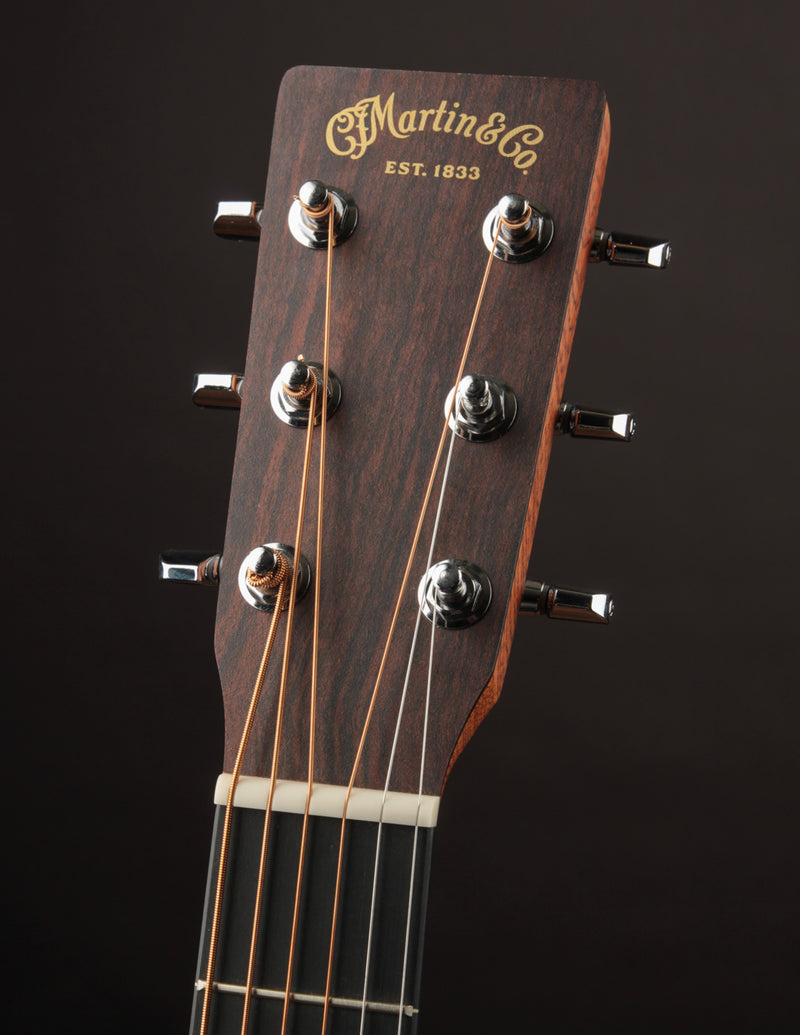 Martin D-10E