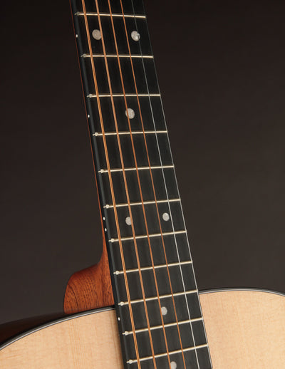 Martin D-10E