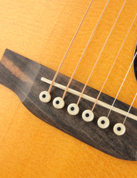 Martin D-10E Retro