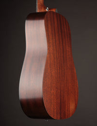 Martin D-10E Retro