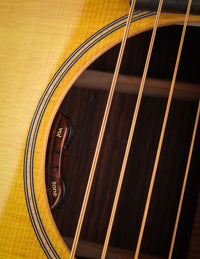 Martin GPC-16E Rosewood