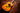 Martin D18