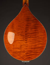 Northfield A5 Special Amber