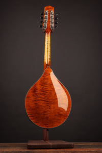 Northfield A5 Special Amber
