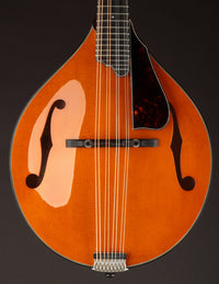 Northfield A5 Special Amber