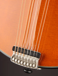 Northfield A5 Special Amber