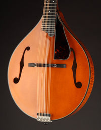 Northfield A5 Special Amber