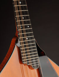 Northfield A5 Special Amber