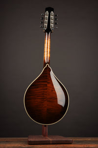 Northfield A5 Special Wide Nut Icelandic Brown