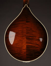 Northfield A5 Special Wide Nut Icelandic Brown